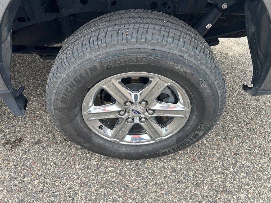 Used 2024 Ford F150 XLT w/ Equipment Group 302A MID AWD/4WD image 9