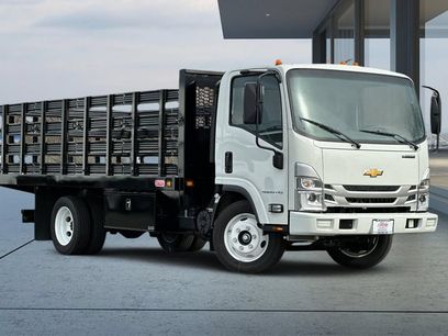 New 2025 Chevrolet Low Cab Forward