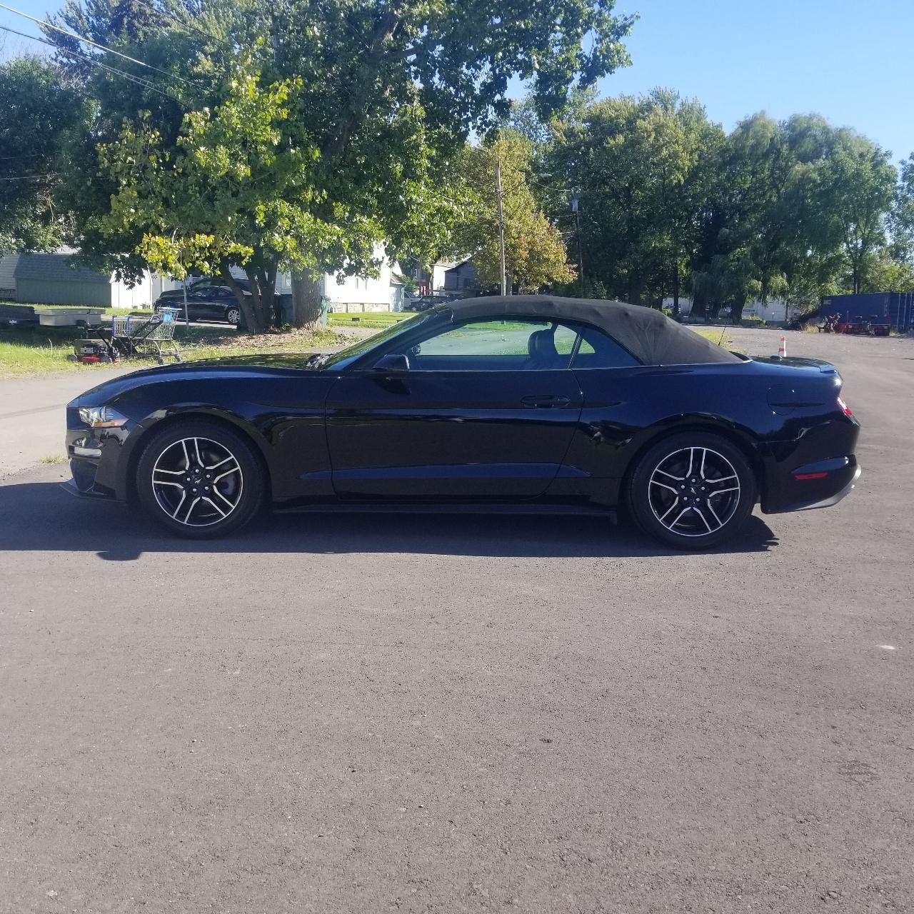 Used 2020 Ford Mustang Premium RWD image 2