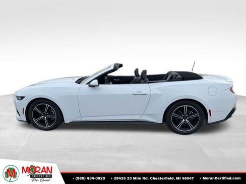 Used 2024 Ford Mustang Premium RWD image 2