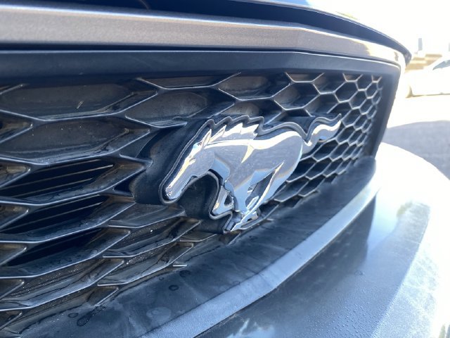Used 2011 Ford Mustang Coupe w/ 101A Rapid Spec Order Code RWD image 9