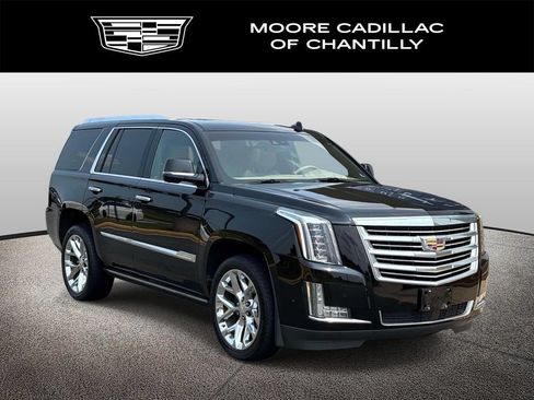 Used 2020 Cadillac Escalade Platinum AWD/4WD image 1