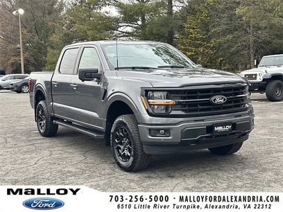 Used 2025 Ford F150 XLT w/ Equipment Group 302A MID