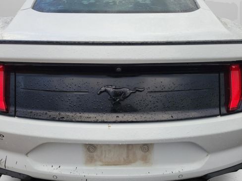 Used 2019 Ford Mustang Coupe w/ Equipment Group 101A image 26