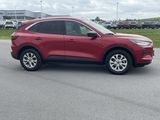 Used 2023 Ford Escape Active image 2