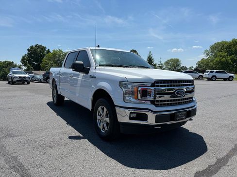 Used 2019 Ford F150 XLT w/ Equipment Group 302A Luxury AWD/4WD image 9