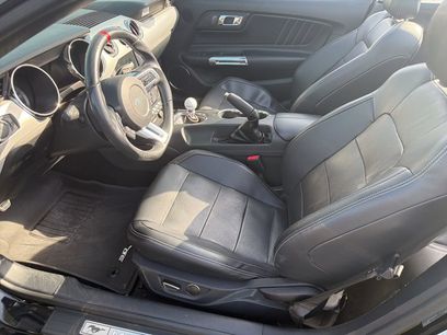 Used 2015 Ford Mustang GT Premium