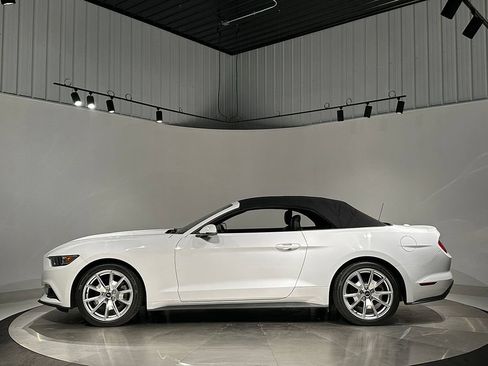 Used 2015 Ford Mustang Premium w/ Equipment Group 201A RWD image 82