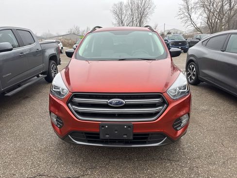 Used 2019 Ford Escape SEL image 2