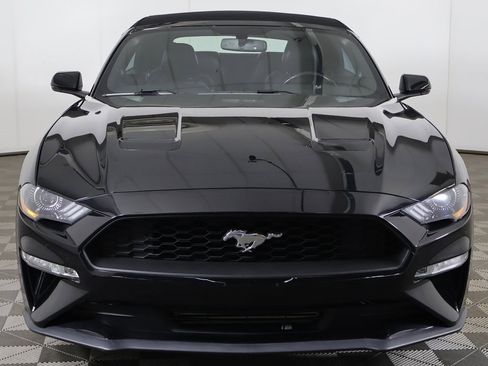 Used 2019 Ford Mustang Premium image 8