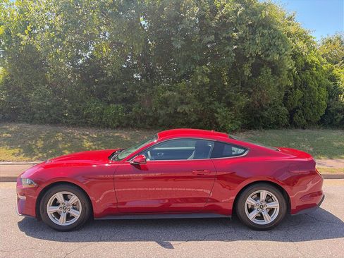 Used 2019 Ford Mustang Coupe RWD image 1