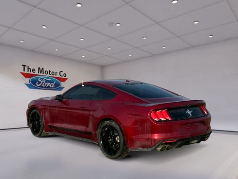 Certified 2019 Ford Mustang Premium w/ Pony Package image 7