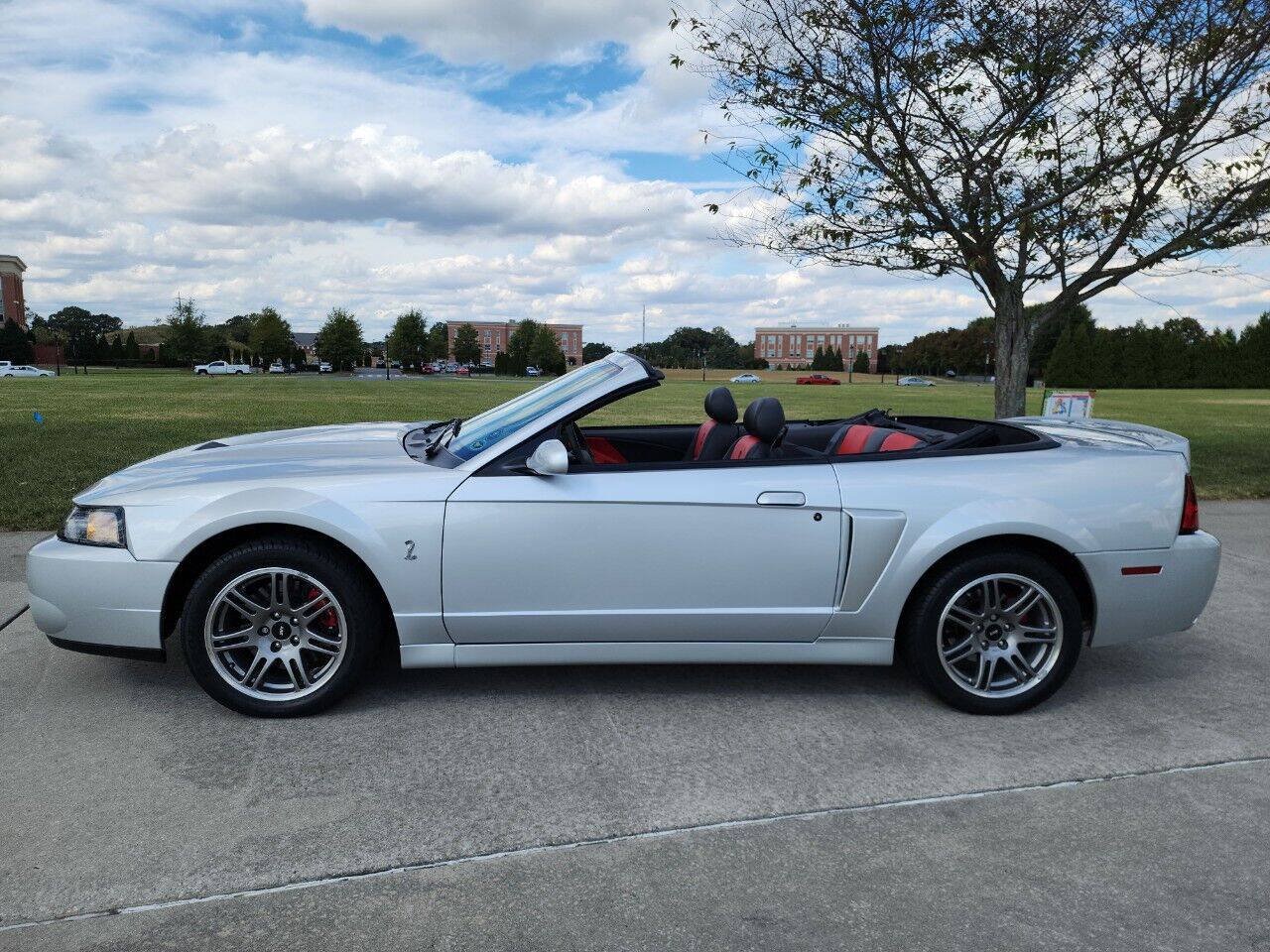 Used 2003 Ford Mustang Cobra RWD image 13