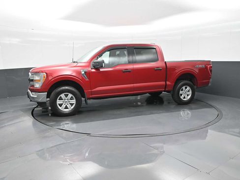 Used 2021 Ford F150 XLT w/ Equipment Group 301A Mid image 5