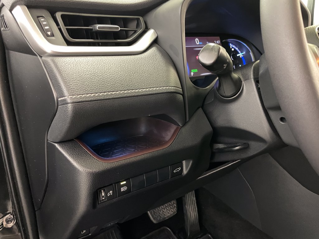 Used 2019 Toyota RAV4 Limited w/ Carpet Mat Package AWD/4WD image 25