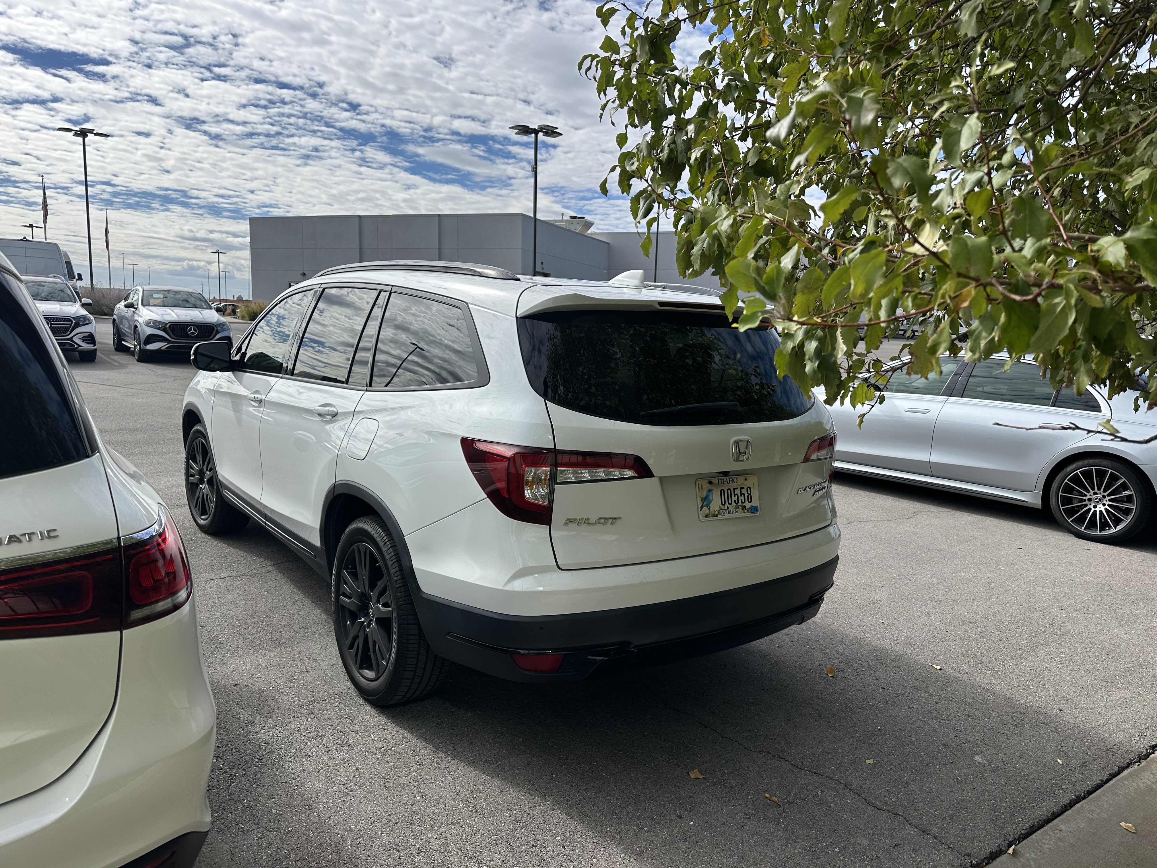 Used 2021 Honda Pilot Black Edition image 4