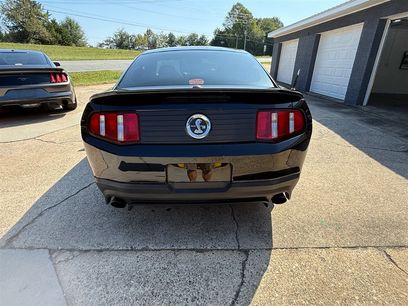 Used 2010 Ford Mustang Shelby GT500