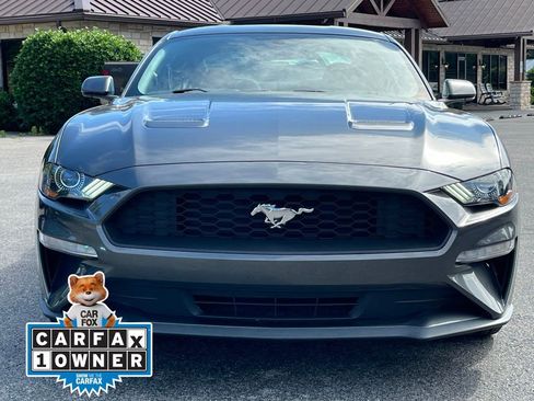 Used 2019 Ford Mustang Coupe RWD image 2