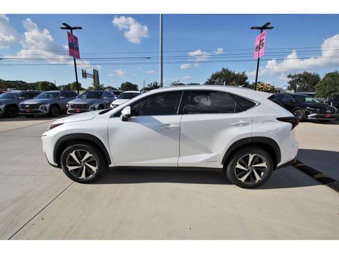 Used 2021 Lexus NX 300h AWD w/ Premium Package image 3