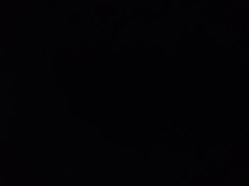 Used 2025 Hyundai Palisade SEL image 12