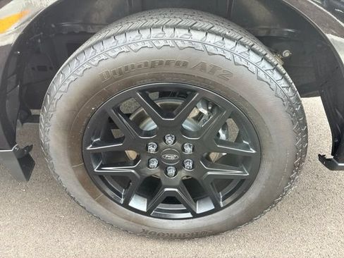 Used 2024 Ford F150 STX w/ STX Black Appearance Package AWD/4WD image 13