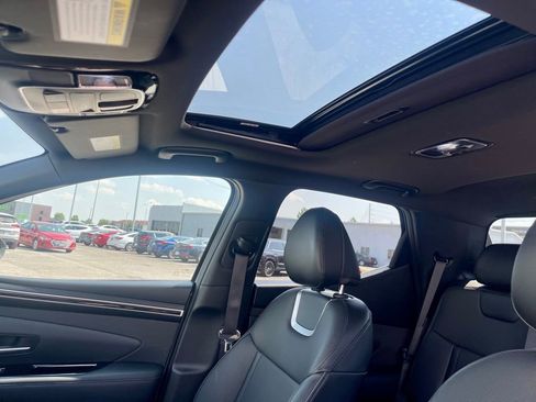 Used 2024 Hyundai Santa Cruz Limited image 5