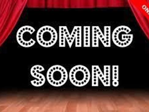 Used 2019 Ford Flex Limited w/ Equipment Group 303A image 8