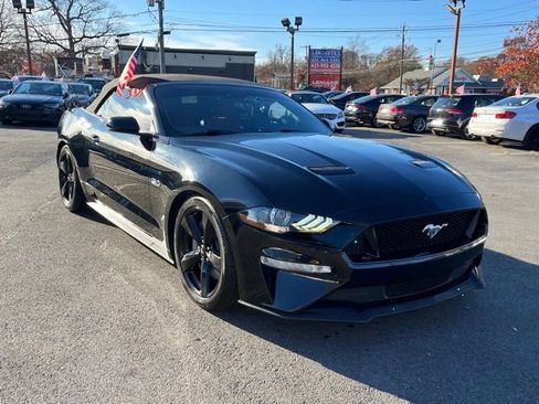 Used 2019 Ford Mustang GT Premium w/ Equipment Group 401A image 3