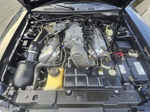 Used 2003 Ford Mustang Cobra RWD image 43