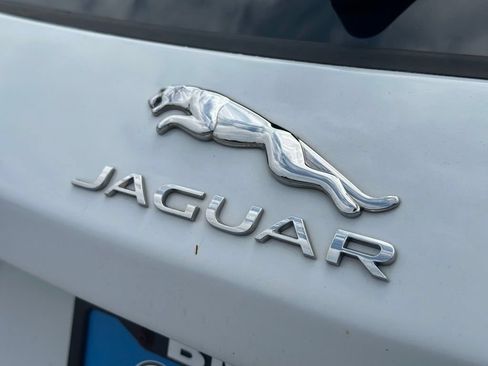 Used 2019 Jaguar F-PACE Prestige AWD/4WD image 13