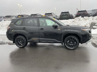 New 2026 Subaru Forester Wilderness video 2