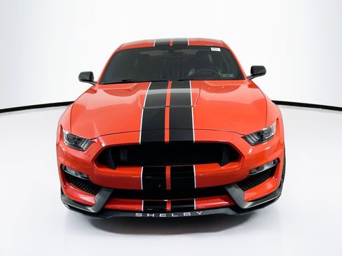 Used 2016 Ford Mustang Shelby GT350 w/ Technology Package image 2