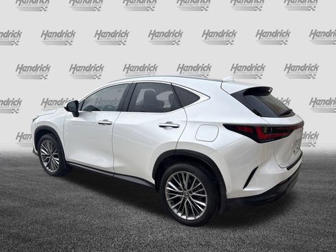 Certified 2025 Lexus NX 350 350 Luxury image 8