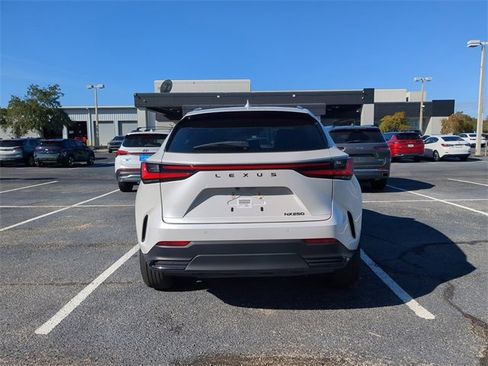 Used 2024 Lexus NX 250 FWD w/ Premium Package image 4