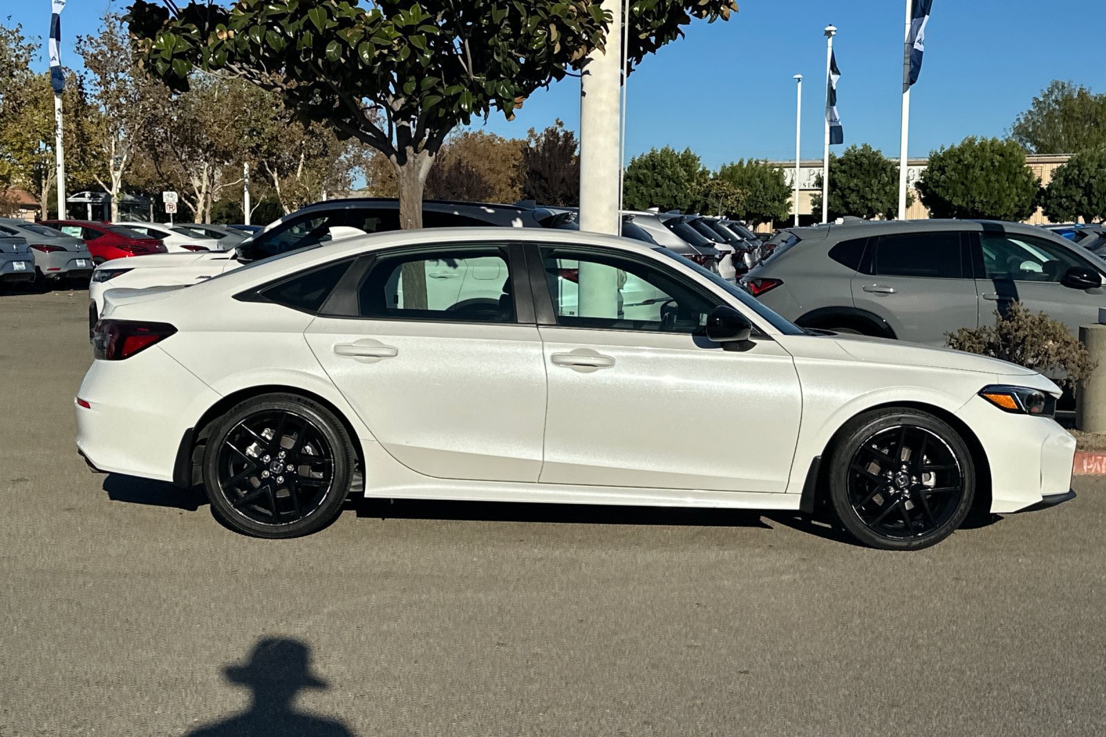 Used 2025 Honda Civic Sport image 3