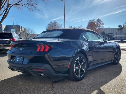 Used 2024 Ford Mustang Premium image 6