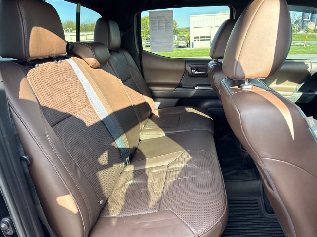 Used 2023 Toyota Tacoma Limited AWD/4WD image 14