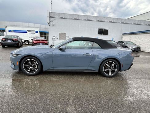 Used 2024 Ford Mustang Premium RWD image 4