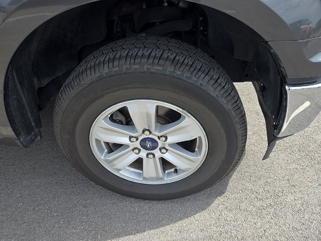 Used 2019 Ford F150 XL w/ Equipment Group 101A Mid RWD image 5