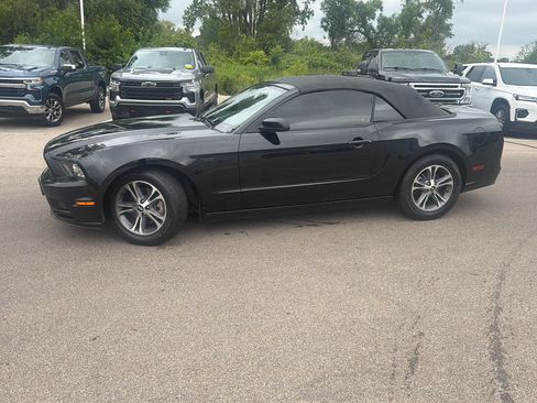 Used 2014 Ford Mustang Premium RWD image 3