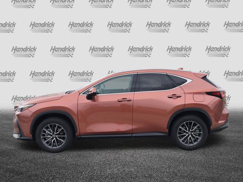 Used 2025 Lexus NX 250 FWD w/ Cold Area Package image 6