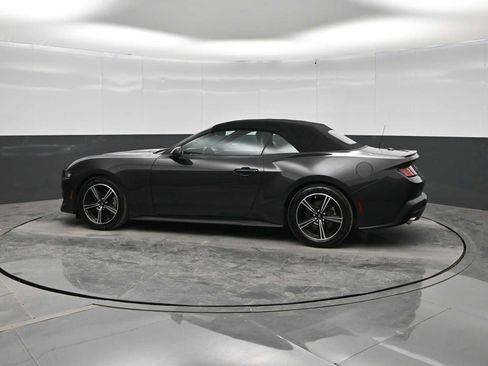Used 2024 Ford Mustang Premium RWD image 5