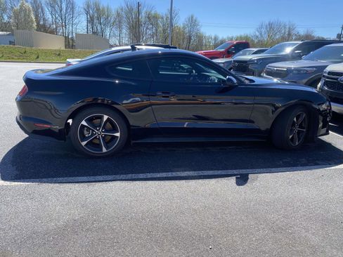 Used 2023 Ford Mustang EcoBoost RWD w/ Equipment Group 101A image 8