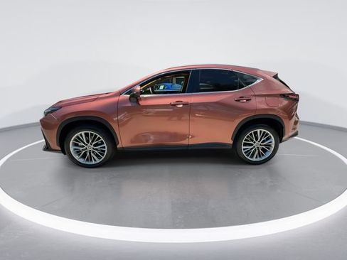 Certified 2025 Lexus NX 350 AWD w/ Cold Area Package image 5