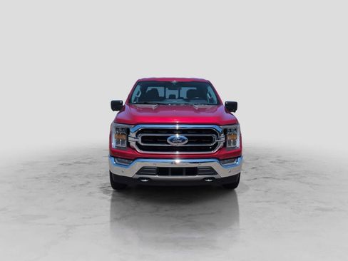 Used 2021 Ford F150 XLT w/ Equipment Group 302A High AWD/4WD image 3
