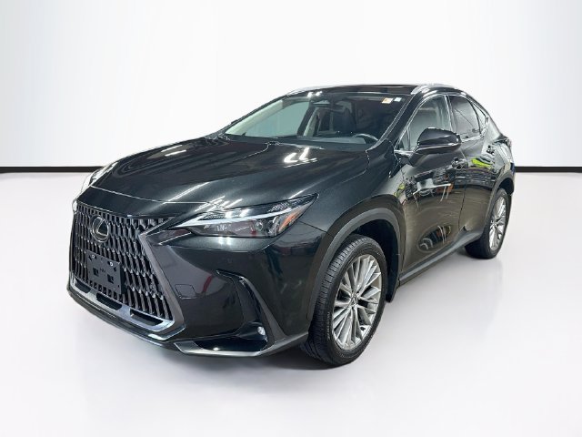 Used 2025 Lexus NX 350 AWD w/ Accessory Package (2T) image 3