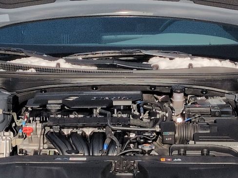 Used 2023 Hyundai Elantra SEL w/ Convenience Package image 15