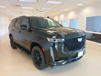 Certified 2024 Cadillac Escalade Sport w/ LPO, ONYX Package