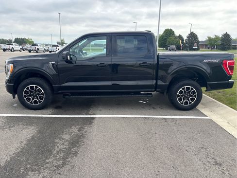 Used 2023 Ford F150 XLT w/ Equipment Group 302A High AWD/4WD image 6