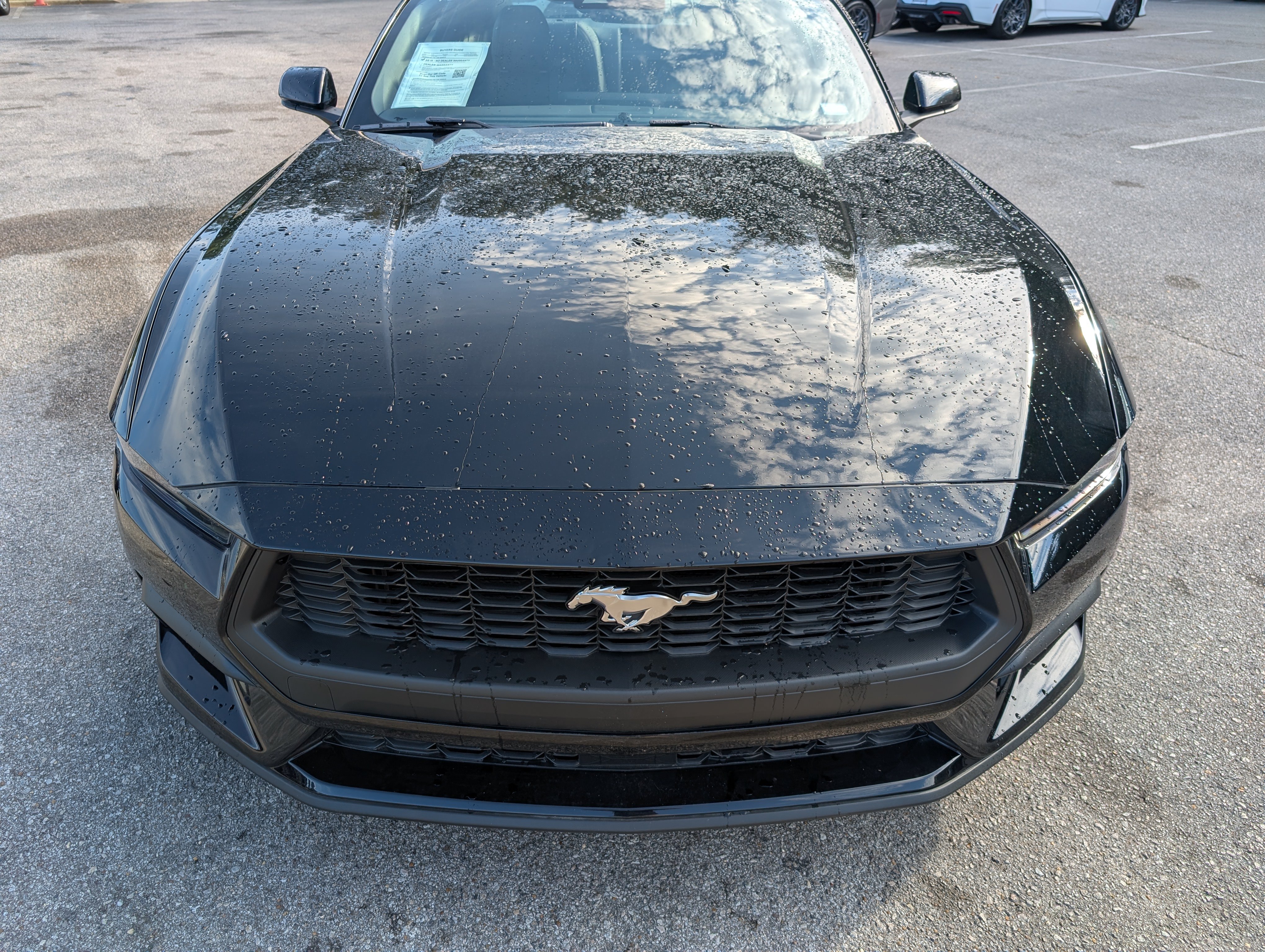 Used 2026 Ford Mustang Premium RWD image 13